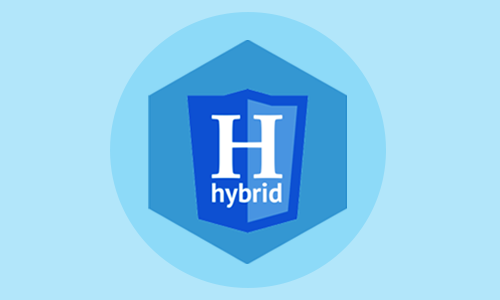 Hybrid Application